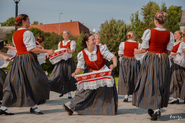vpdk Dzīpars